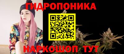 ГАЛЛЮЦИНОГЕННЫЕ ГРИБЫ Гусиноозёрск