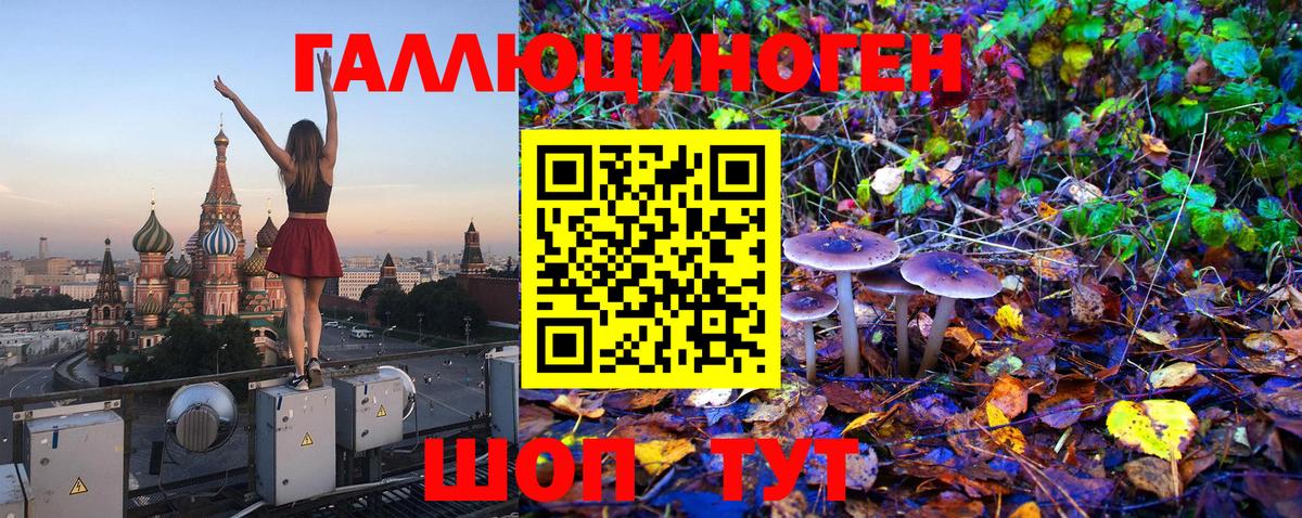 Псилоцибиновые грибы GOLDEN TEACHER Копейск