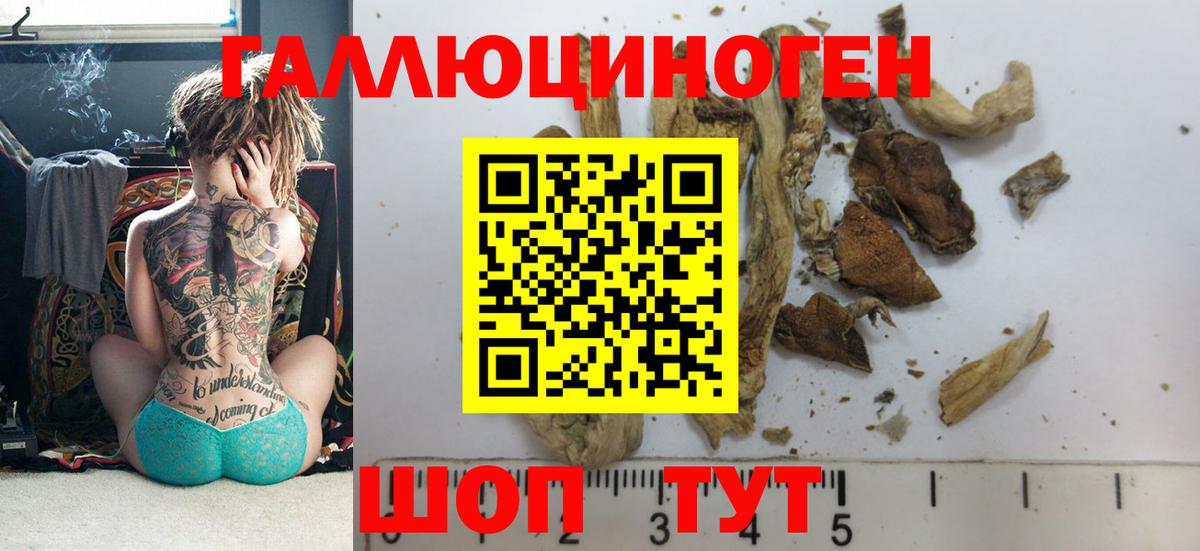 Галлюциногенные грибы Psilocybe  Копейск  Псилоцибиновые грибы мухоморы 