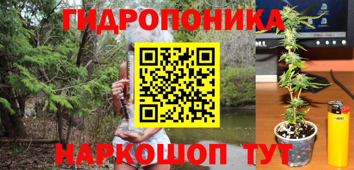 Бошки Шишки AK-47 Копейск